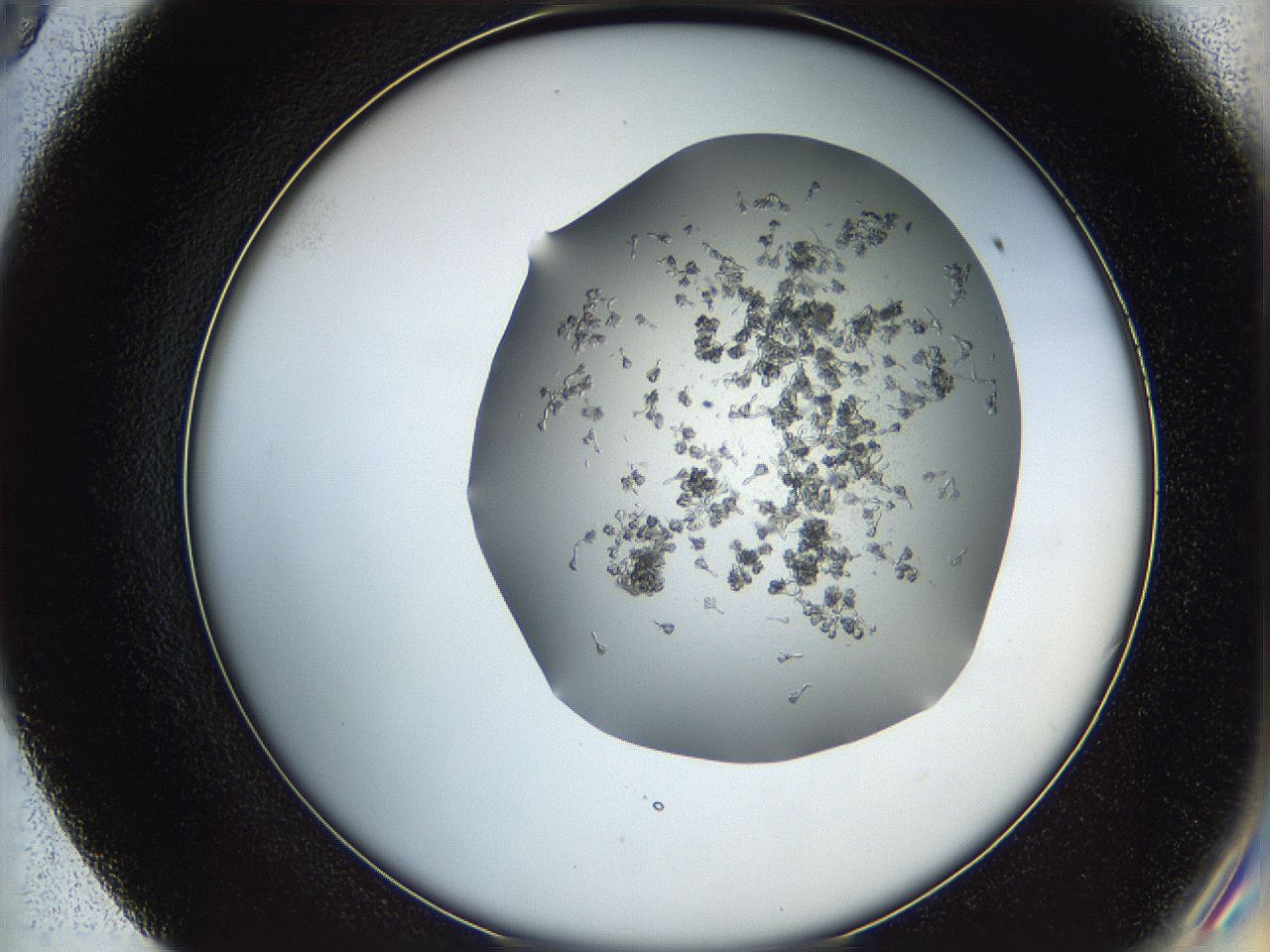 0694_E9_ImagerDefaults_6.jpg