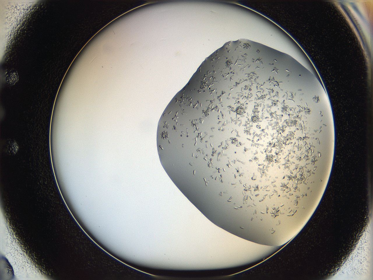 0694_E2_ImagerDefaults_7.jpg