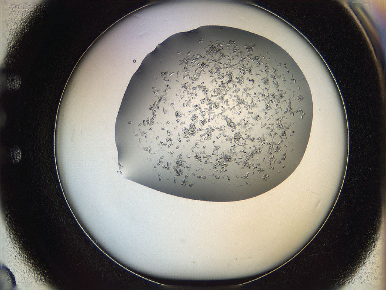 0694_E3_ImagerDefaults_8.jpg