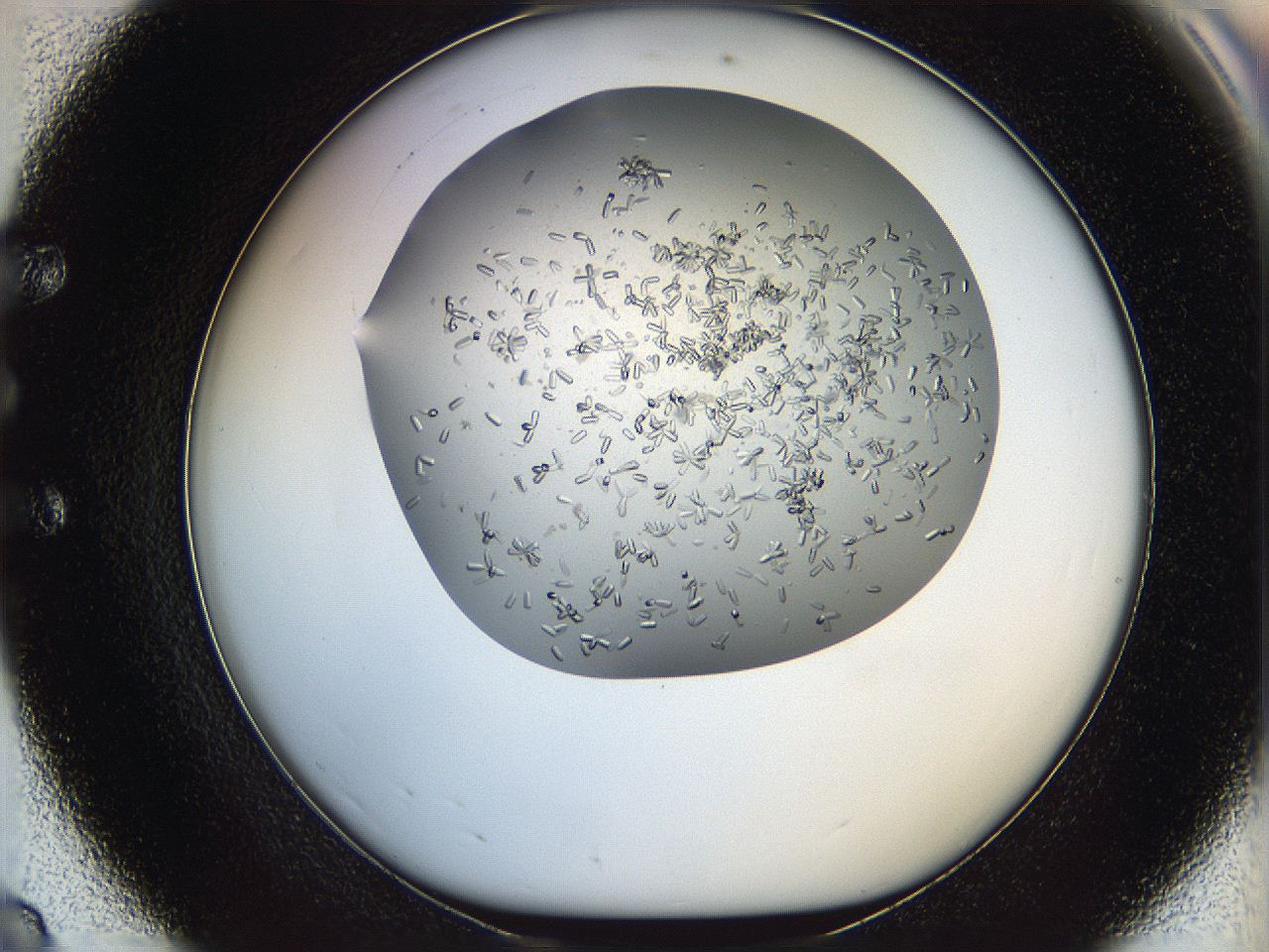 0694_E8_ImagerDefaults_6.jpg