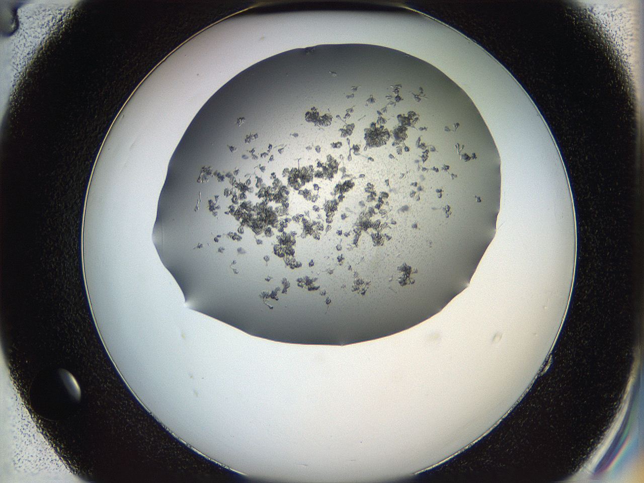 0694_E4_ImagerDefaults_6.jpg
