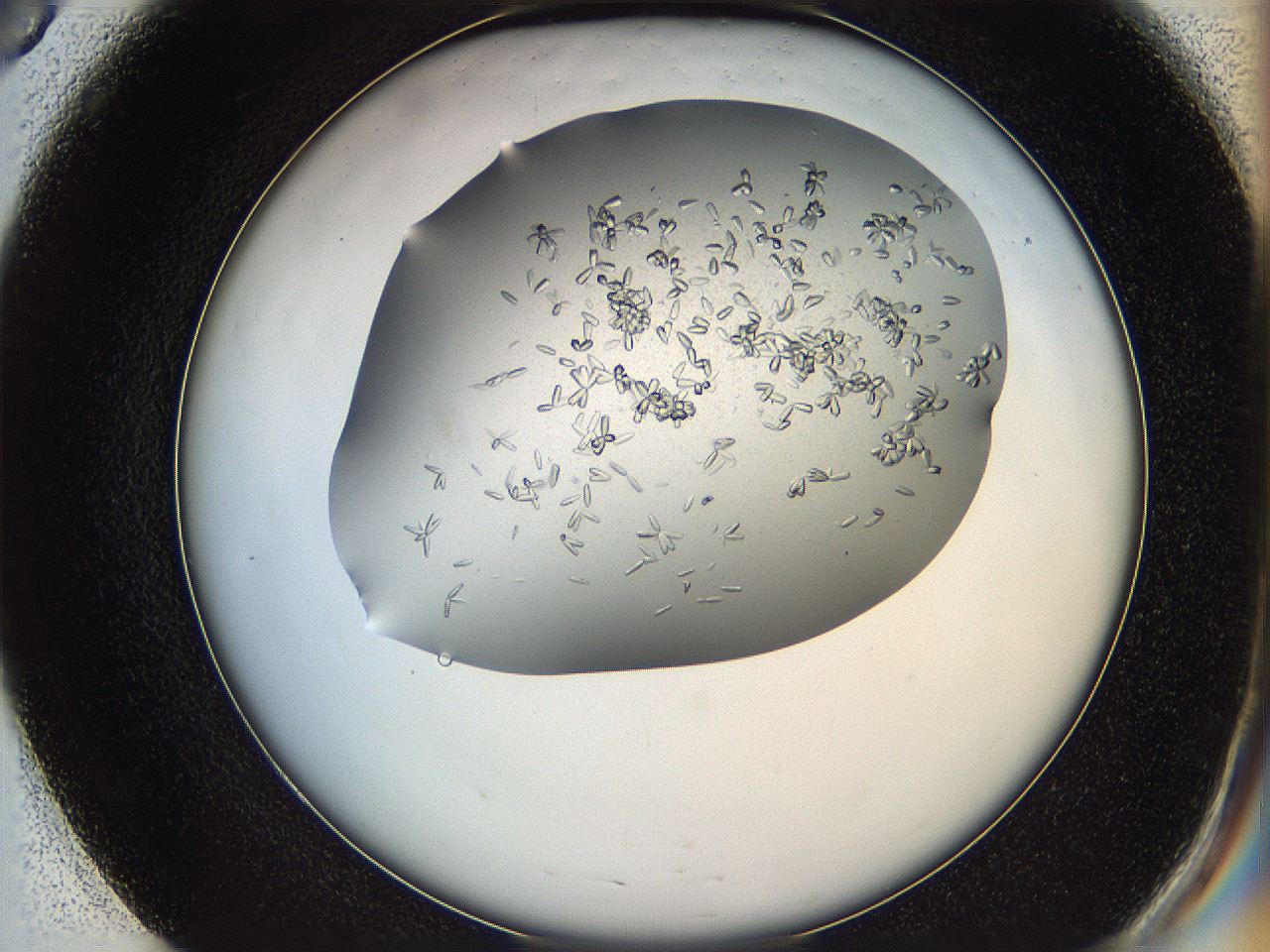 0694_E3_ImagerDefaults_7.jpg