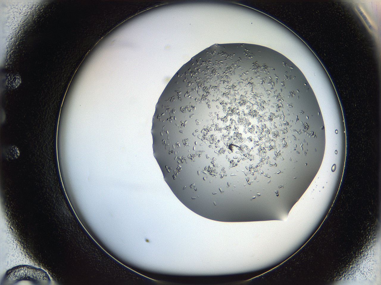 0694_E10_ImagerDefaults_8.jpg