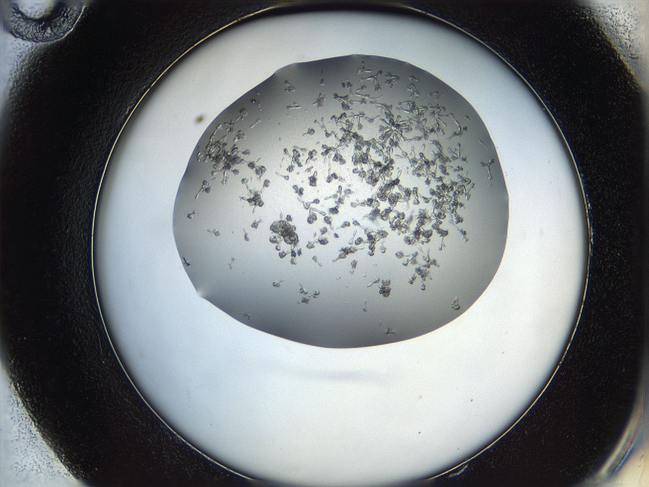 0694_E10_ImagerDefaults_7.jpg