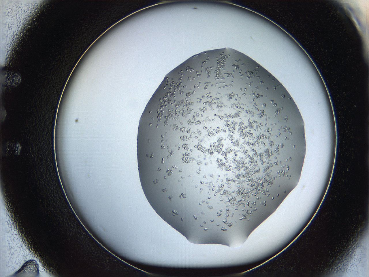 0694_E11_ImagerDefaults_8.jpg