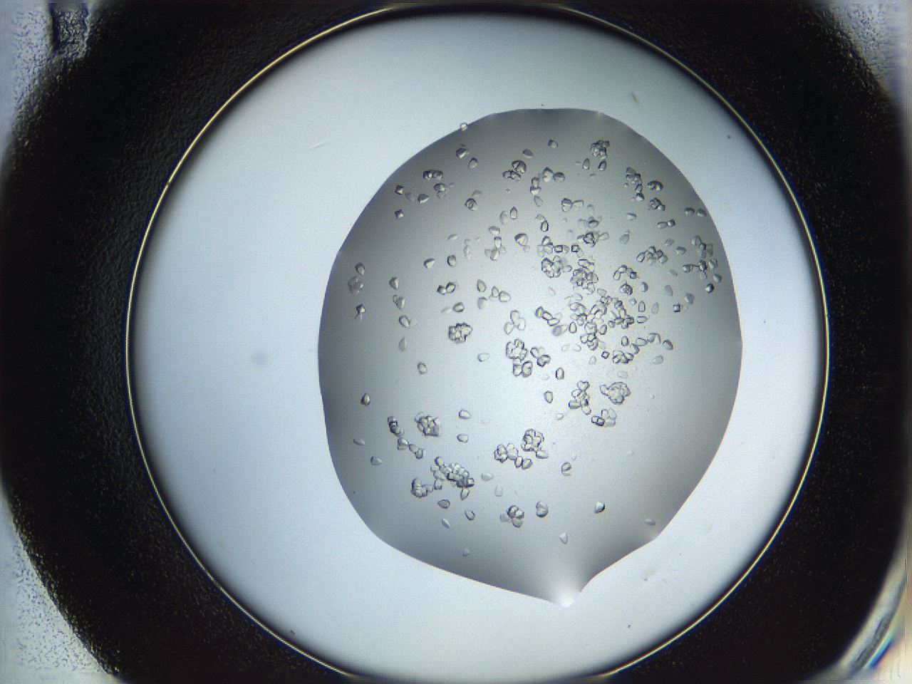 0694_E11_ImagerDefaults_6.jpg