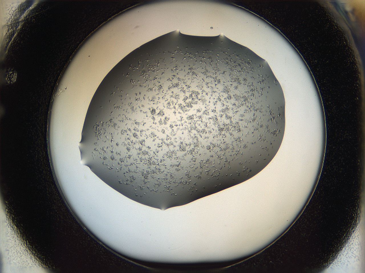 0694_F1_ImagerDefaults_7.jpg