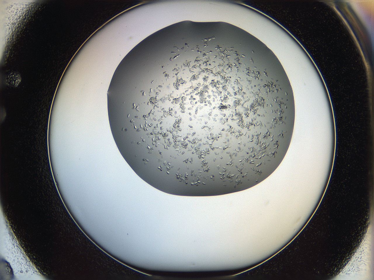 0694_F2_ImagerDefaults_7.jpg
