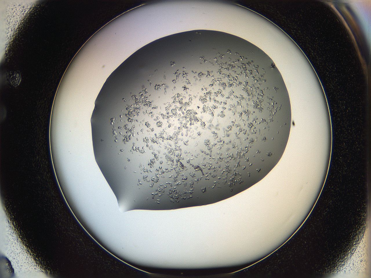 0694_F3_ImagerDefaults_8.jpg