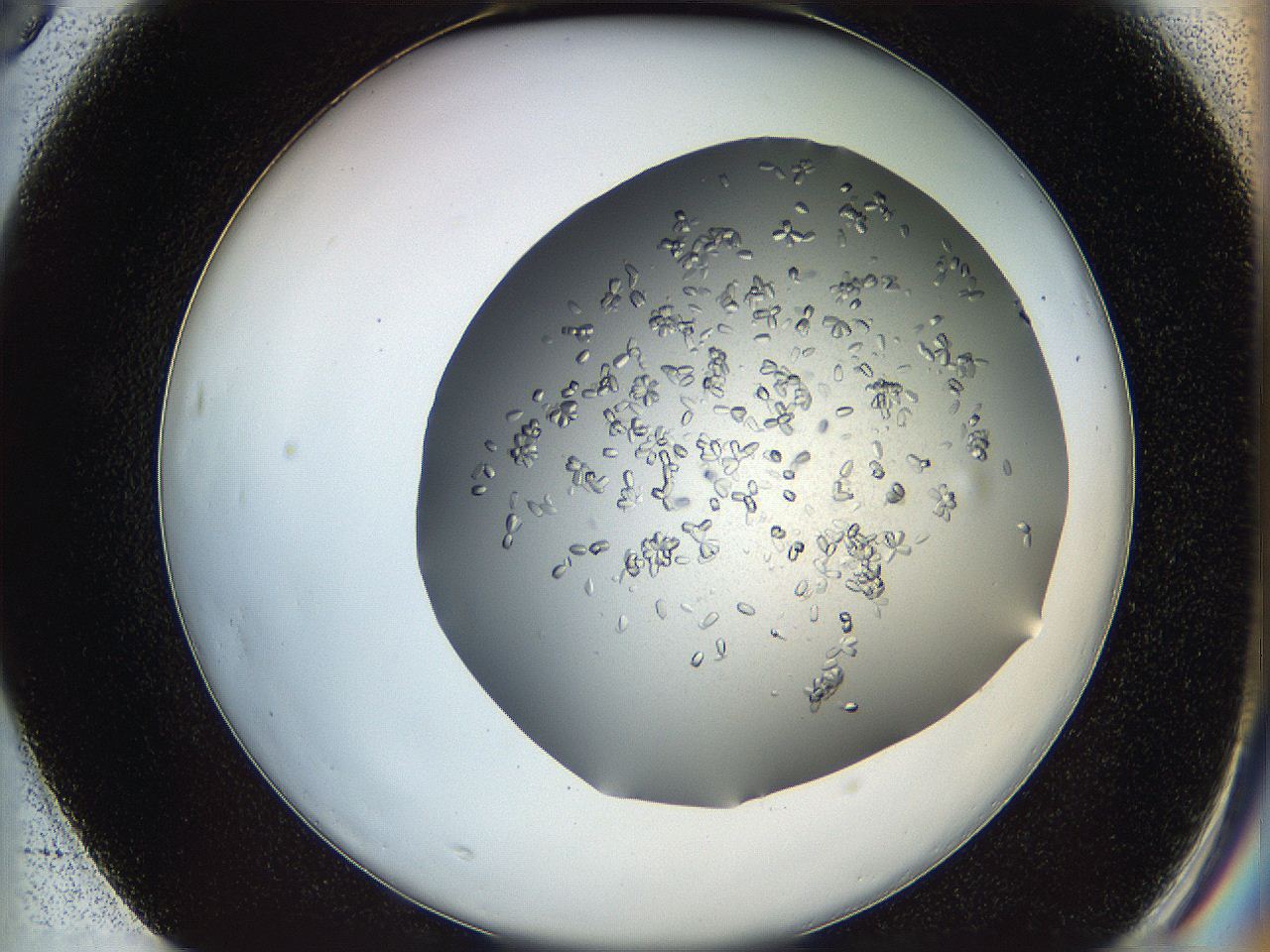 0694_F3_ImagerDefaults_7.jpg