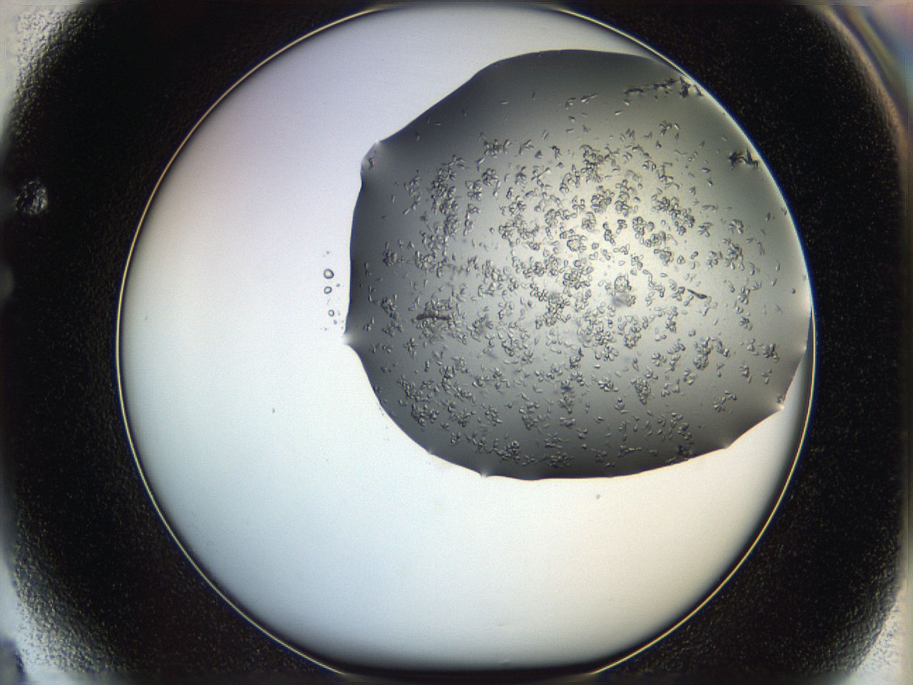 0694_F4_ImagerDefaults_8.jpg