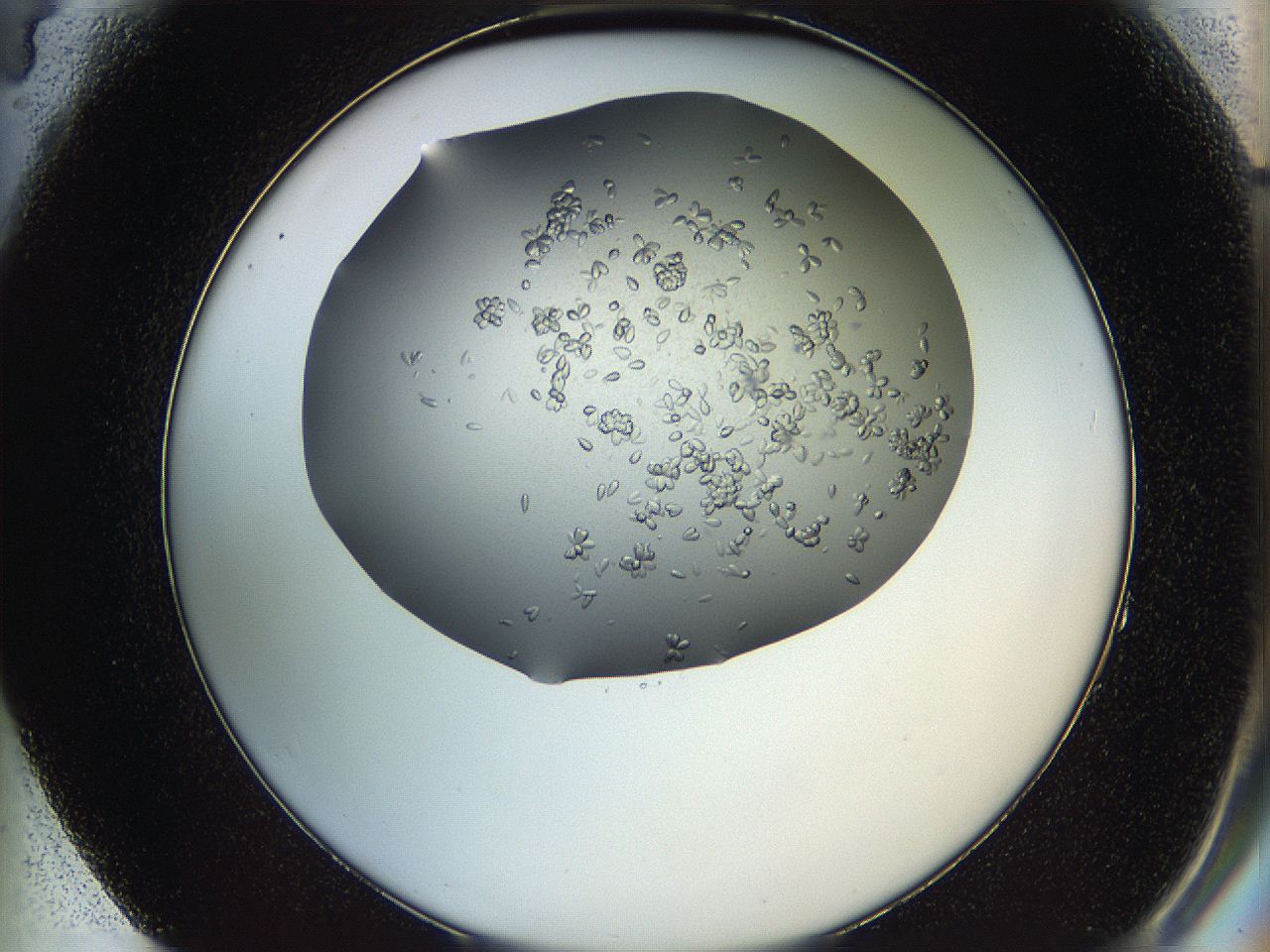 0694_F4_ImagerDefaults_7.jpg