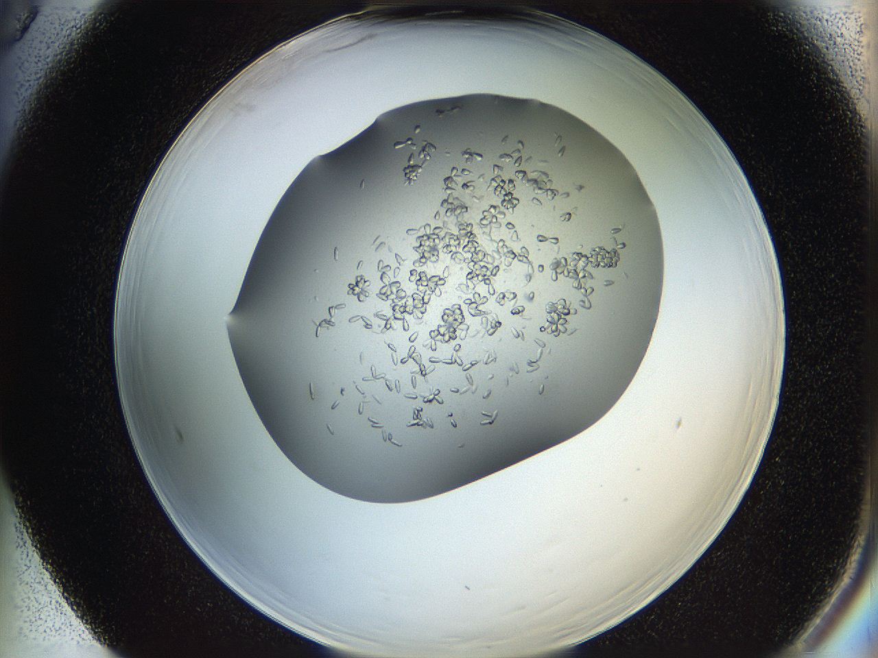0694_F5_ImagerDefaults_7.jpg