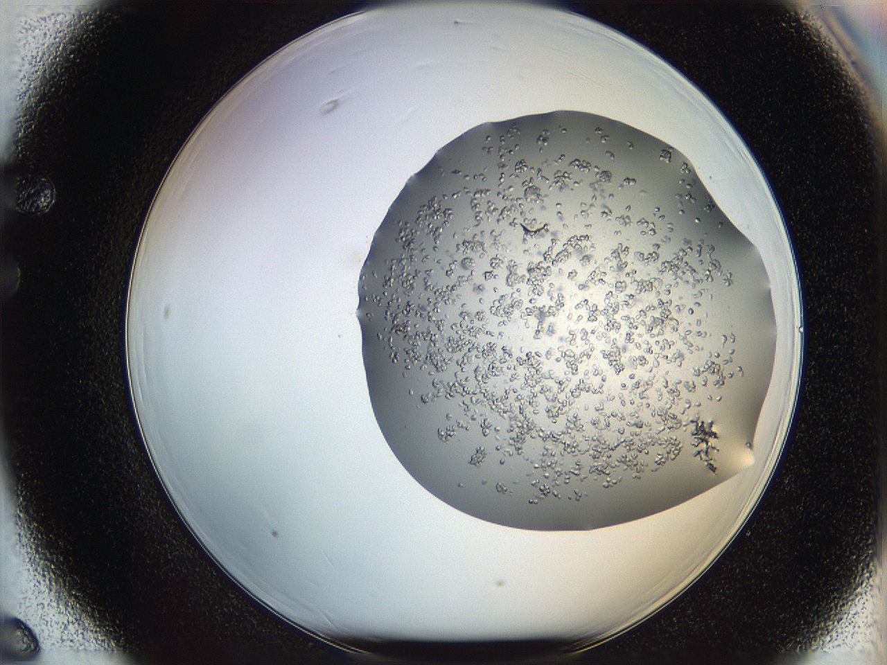 0694_F6_ImagerDefaults_8.jpg
