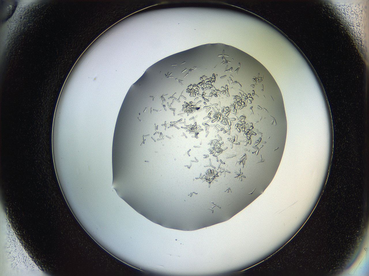 0694_F6_ImagerDefaults_7.jpg
