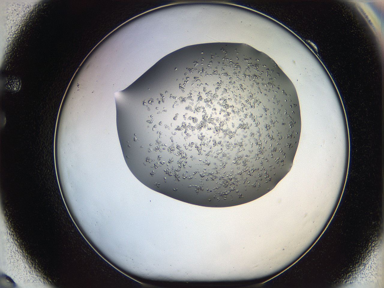 0694_F9_ImagerDefaults_7.jpg