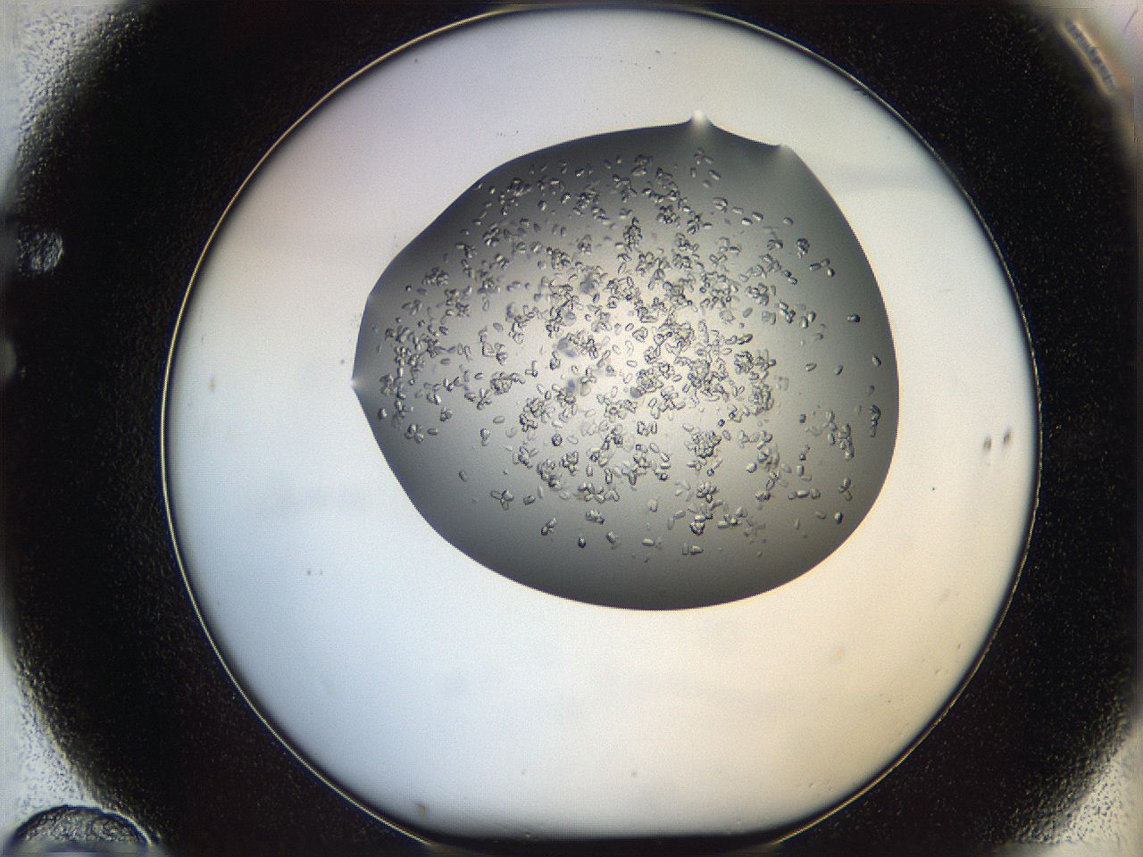 0694_F10_ImagerDefaults_7.jpg