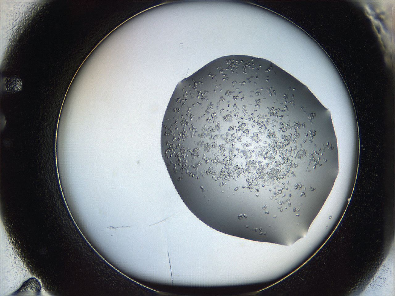 0694_F11_ImagerDefaults_8.jpg