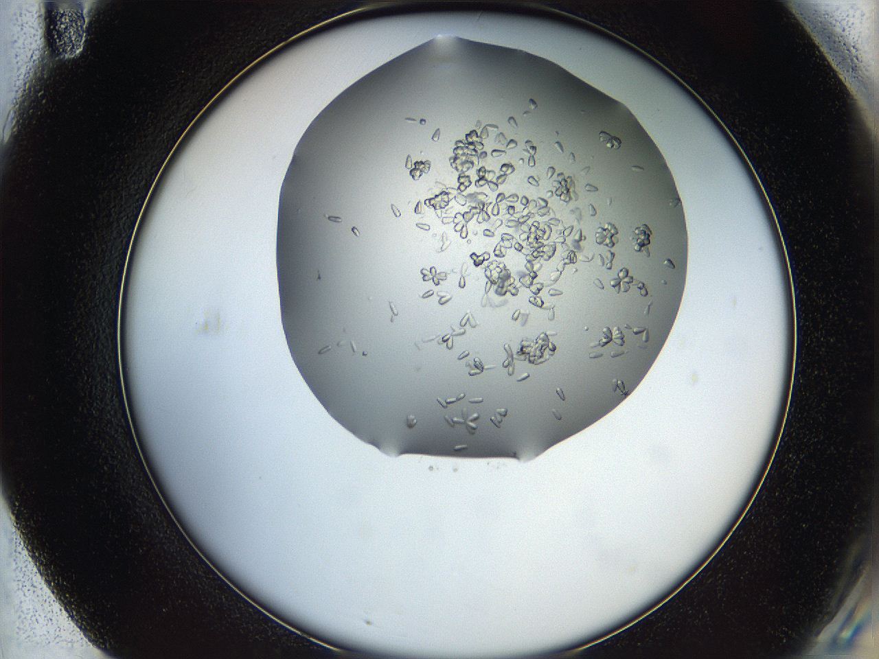 0694_F11_ImagerDefaults_7.jpg