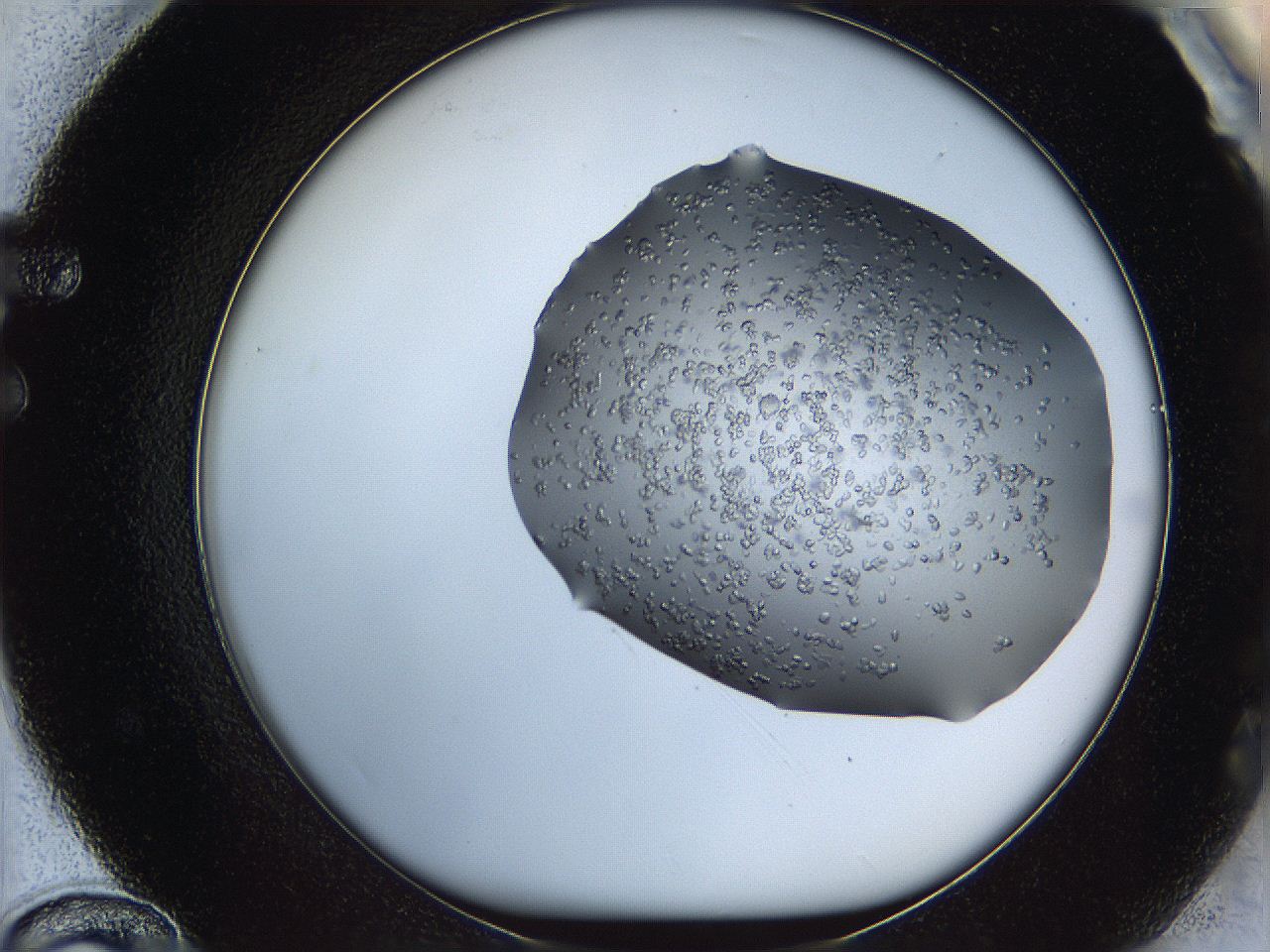 0694_F12_ImagerDefaults_8.jpg