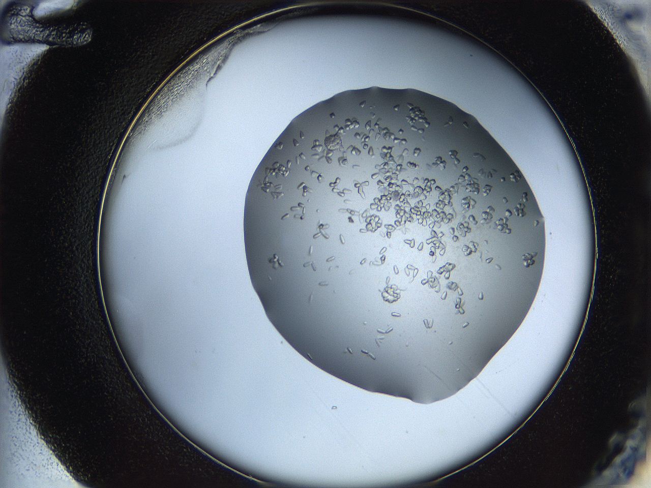 0694_F12_ImagerDefaults_7.jpg