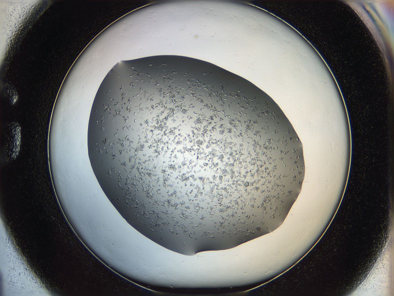 0694_G1_ImagerDefaults_7.jpg