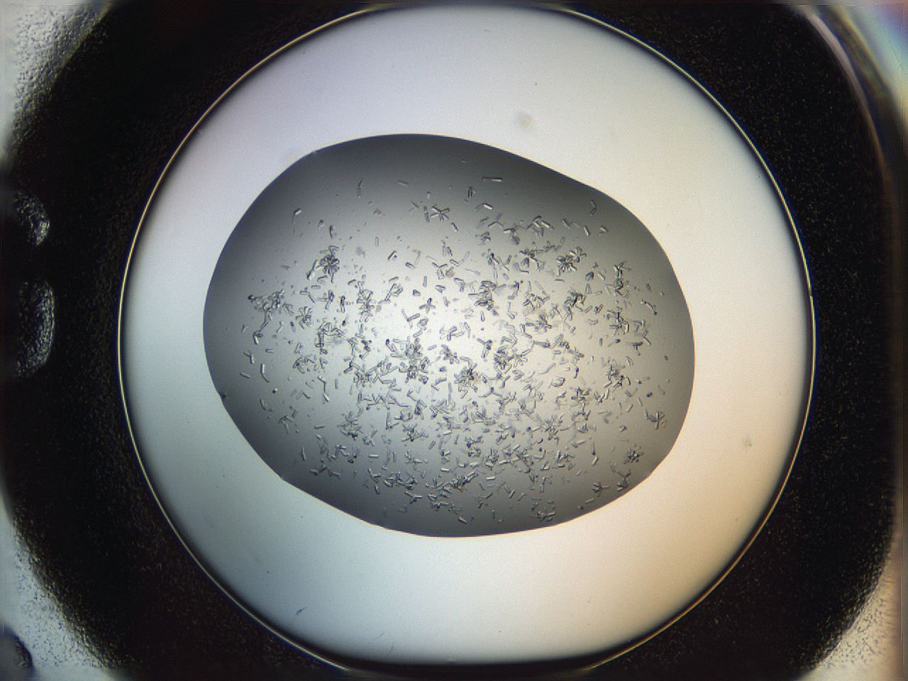 0694_G2_ImagerDefaults_6.jpg