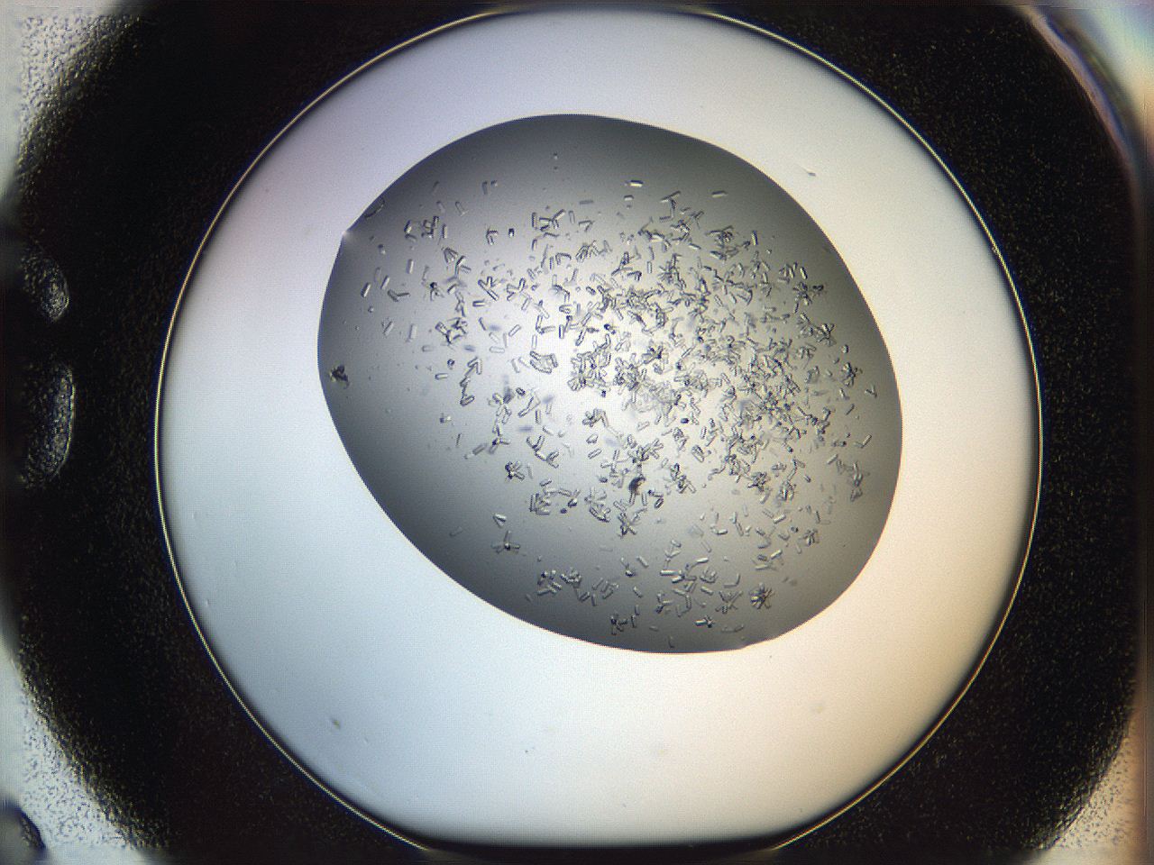 0694_G3_ImagerDefaults_6.jpg