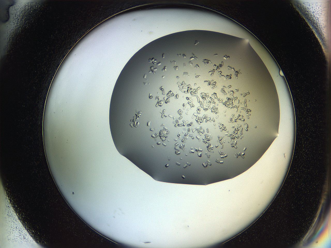 0694_G4_ImagerDefaults_7.jpg