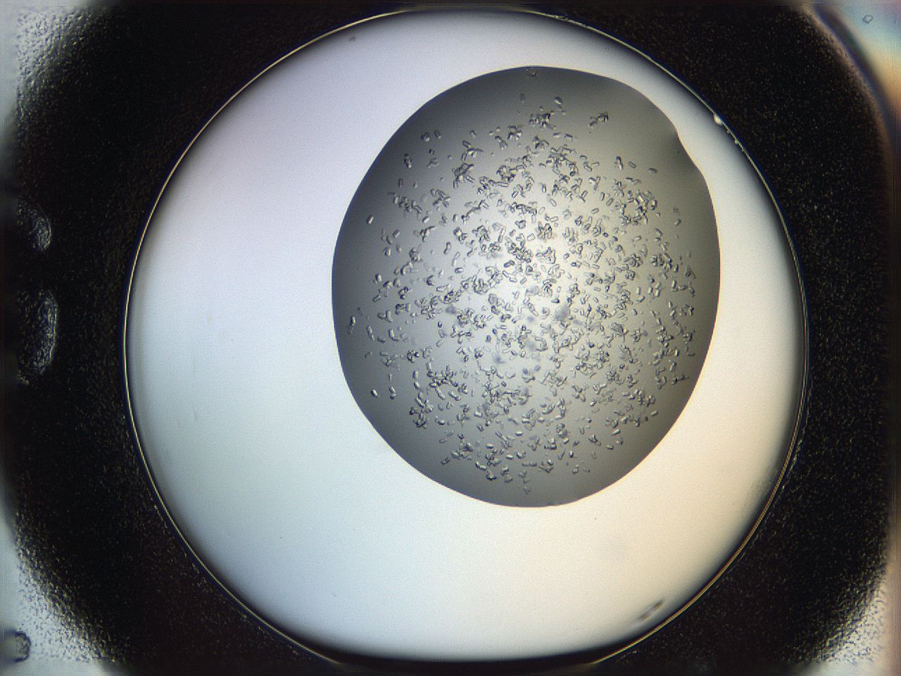 0694_G5_ImagerDefaults_7.jpg