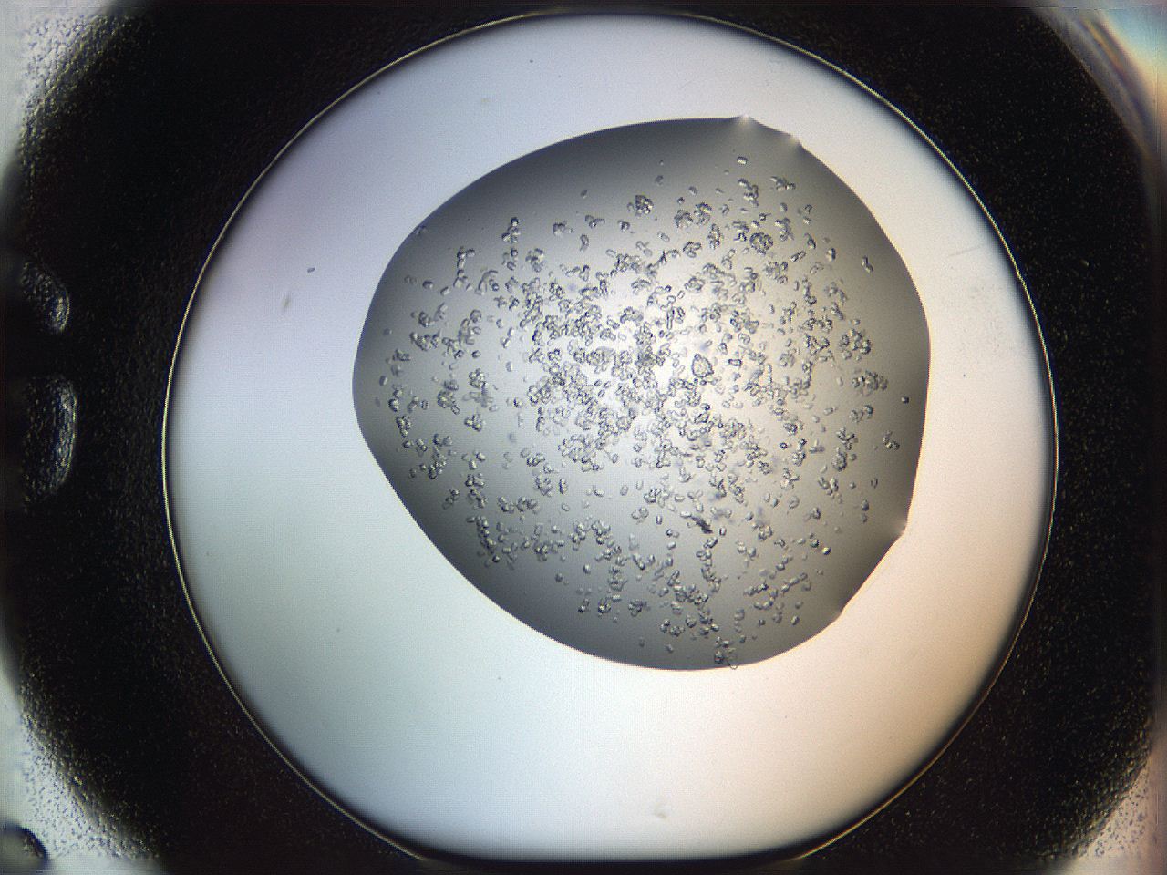 0694_G6_ImagerDefaults_8.jpg