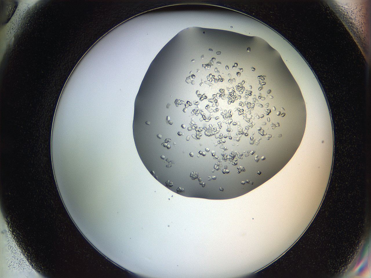 0694_G6_ImagerDefaults_7.jpg