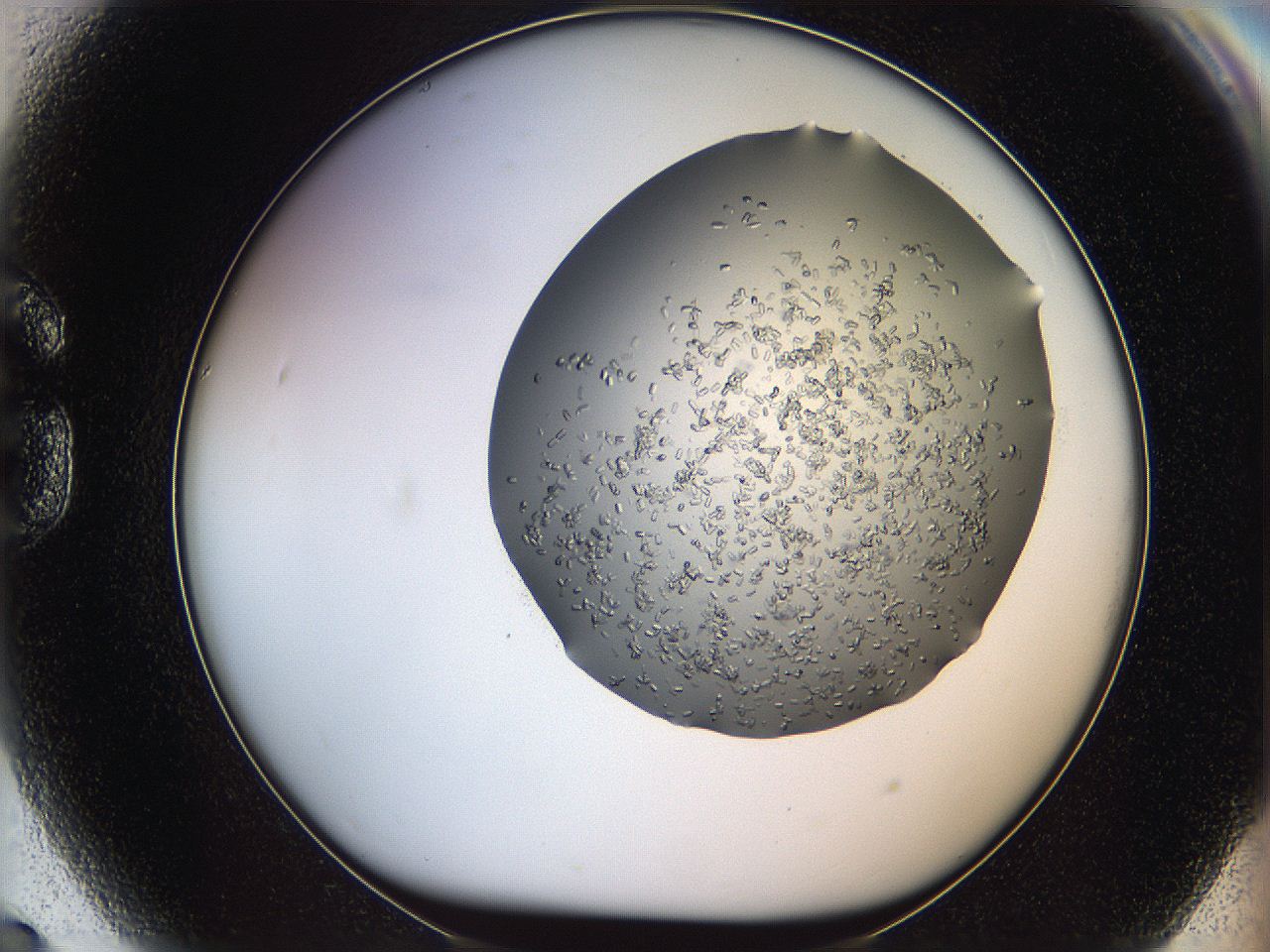 0694_G9_ImagerDefaults_7.jpg