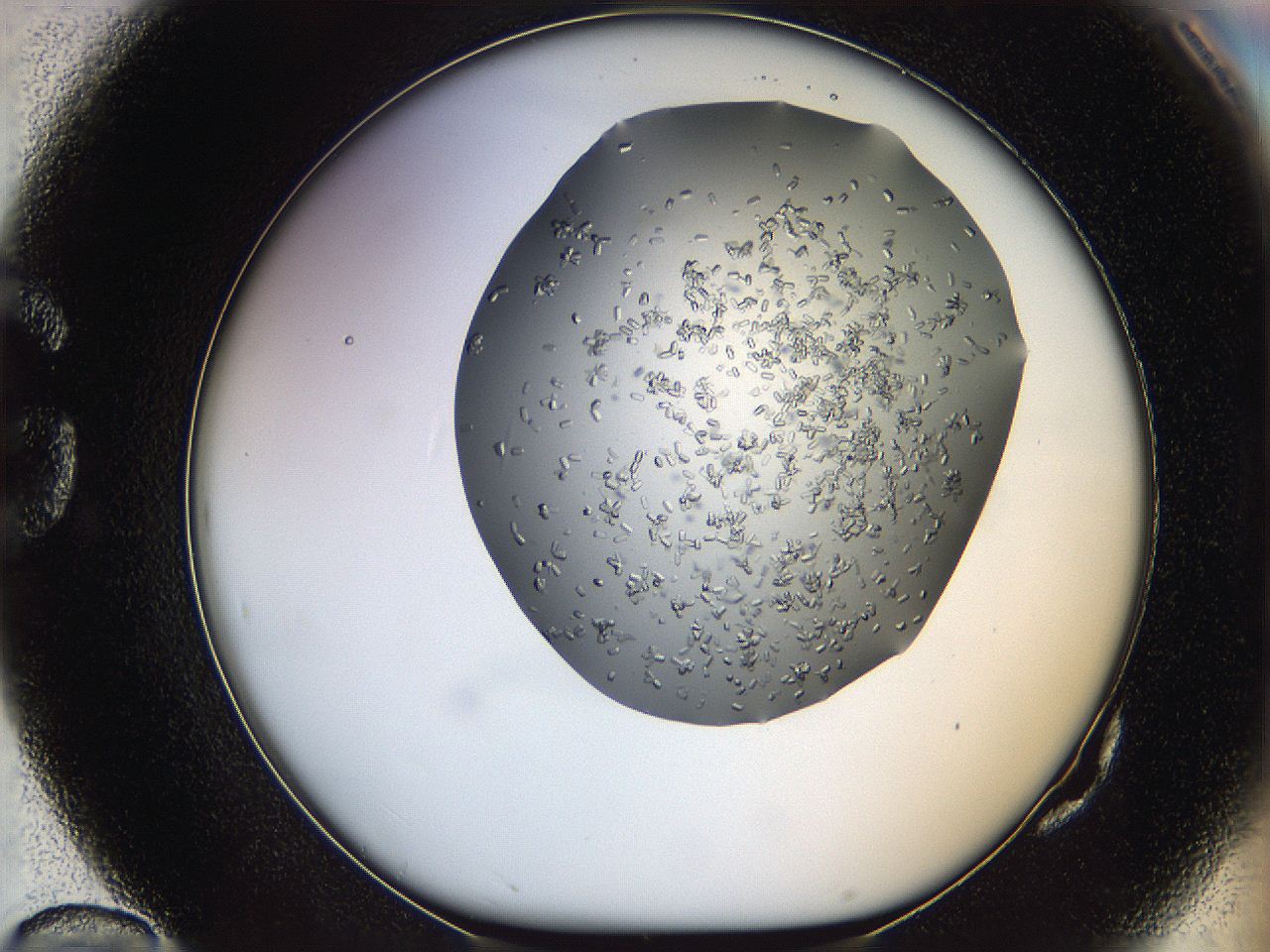 0694_G10_ImagerDefaults_7.jpg