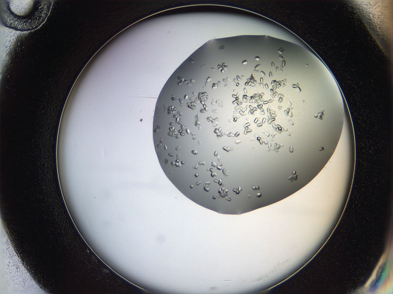 0694_G10_ImagerDefaults_6.jpg
