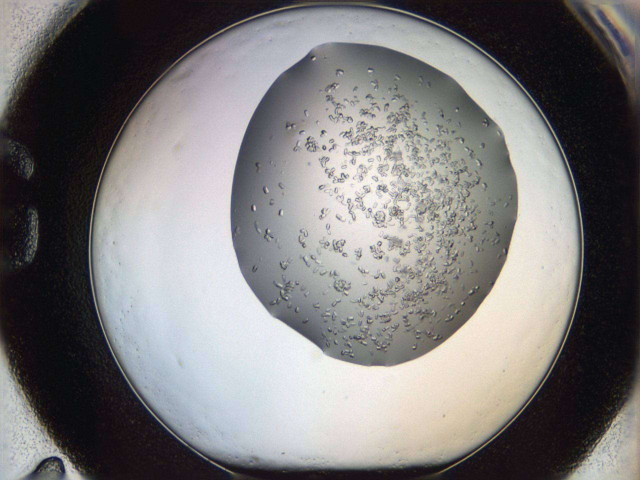 0694_G11_ImagerDefaults_7.jpg