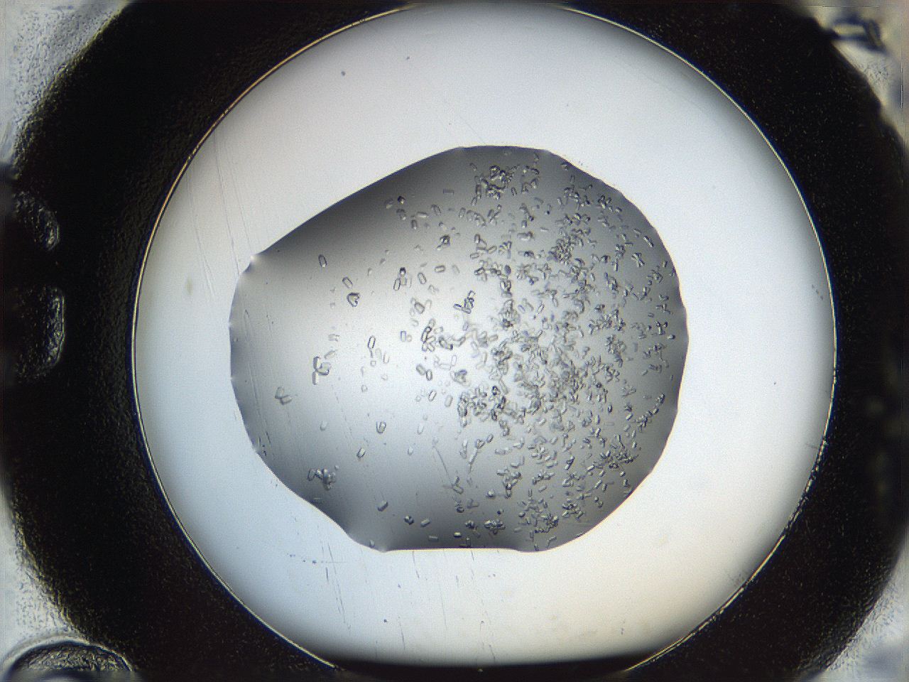 0694_G12_ImagerDefaults_6.jpg