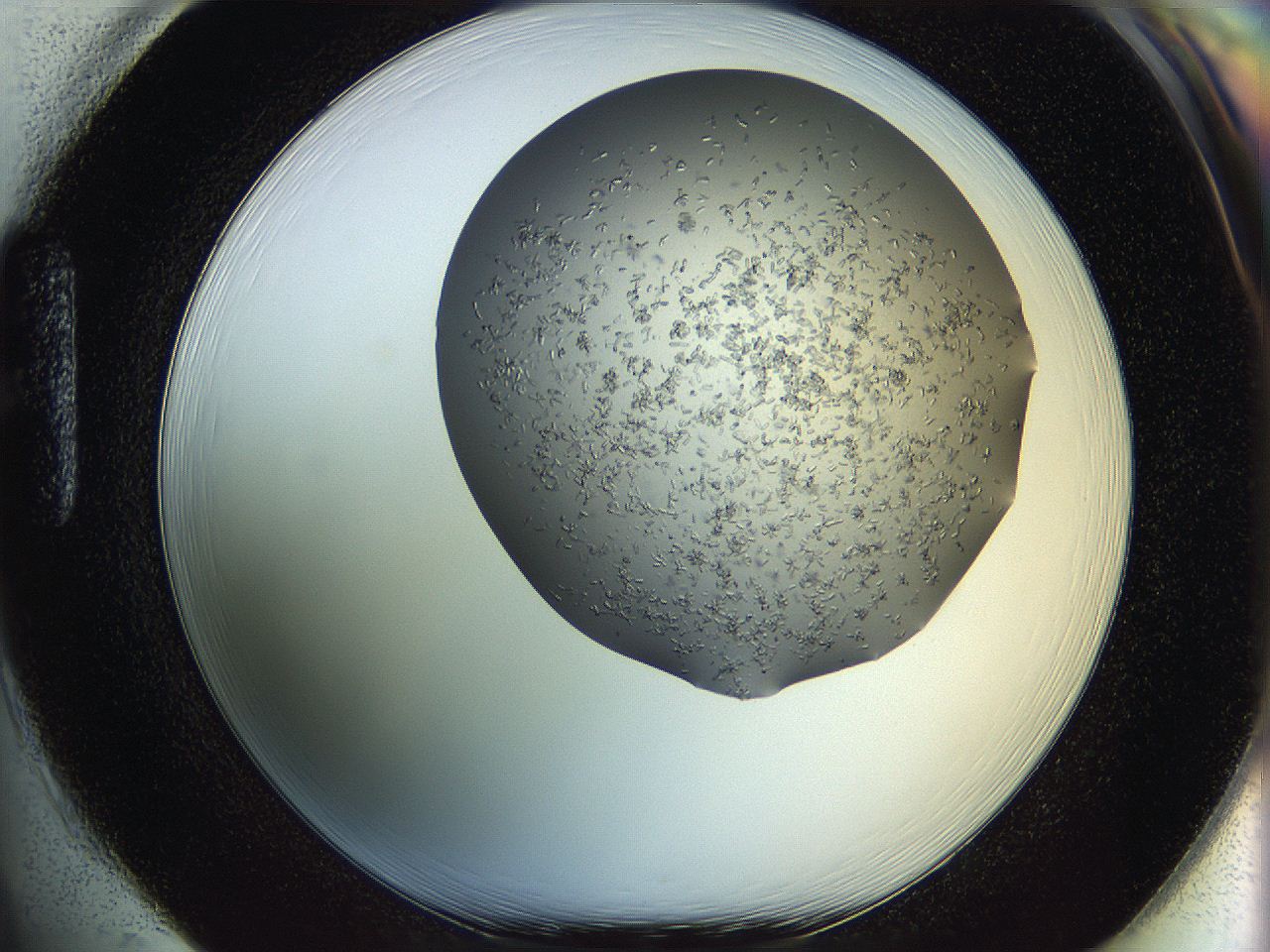 0694_H1_ImagerDefaults_7.jpg