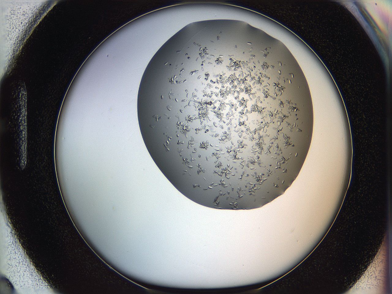 0694_H3_ImagerDefaults_7.jpg