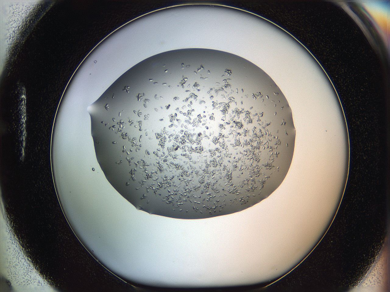 0694_H4_ImagerDefaults_8.jpg