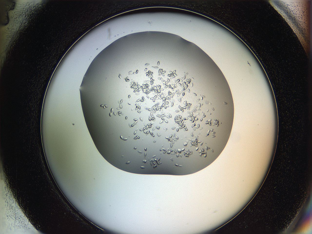 0694_H4_ImagerDefaults_7.jpg