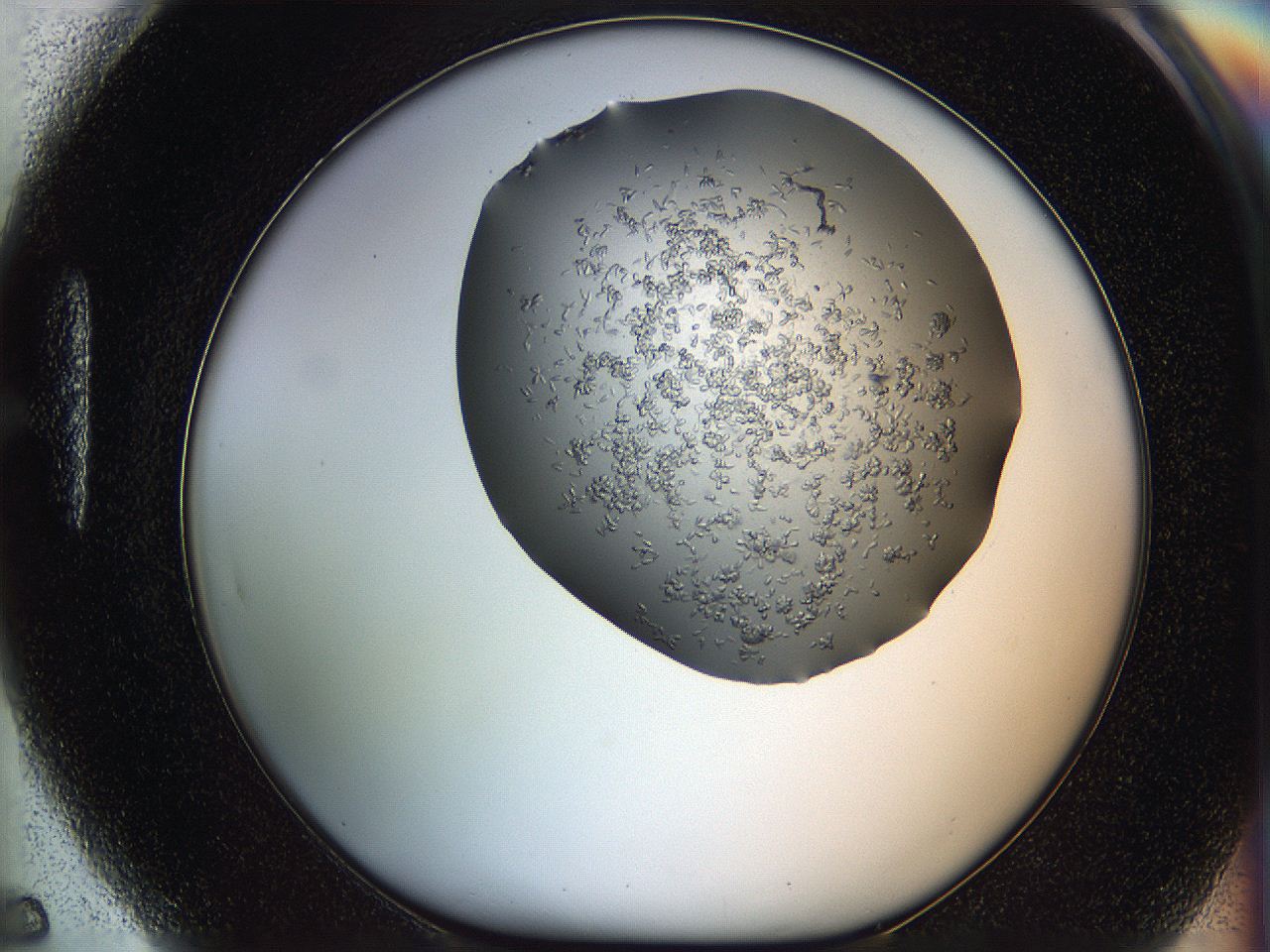 0694_H5_ImagerDefaults_8.jpg