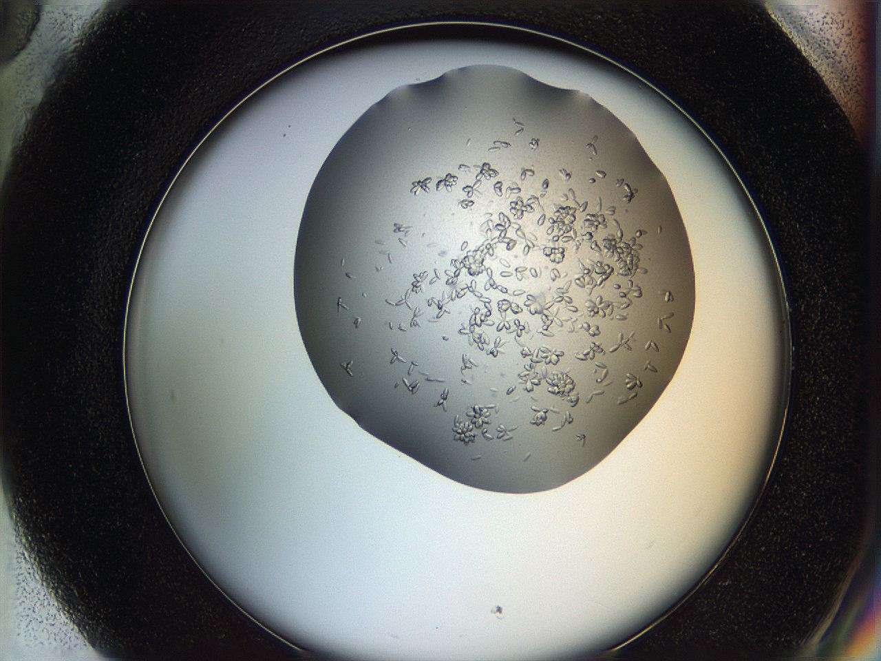 0694_H5_ImagerDefaults_7.jpg