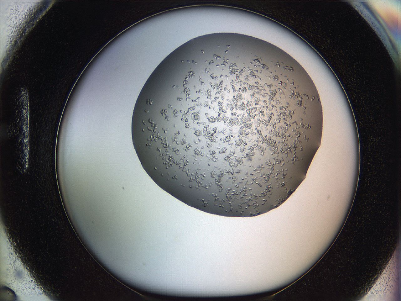 0694_H6_ImagerDefaults_8.jpg