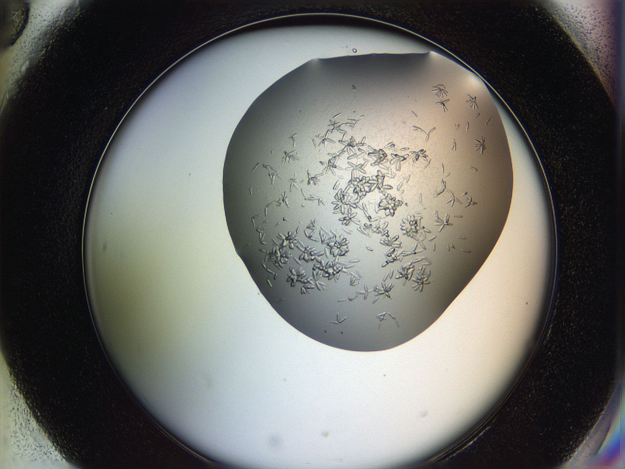 0694_H6_ImagerDefaults_7.jpg