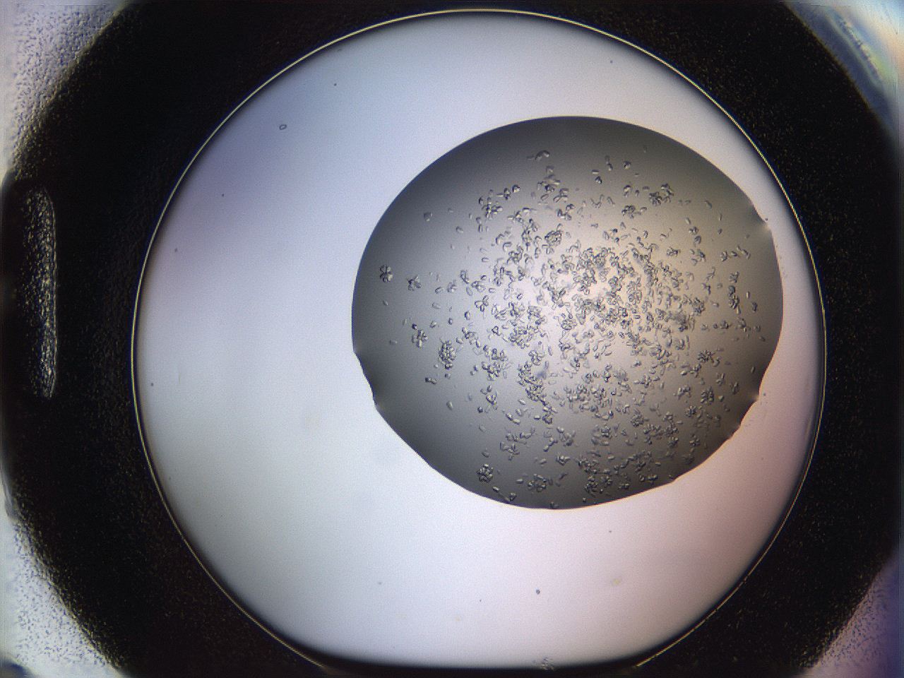 0694_H9_ImagerDefaults_8.jpg