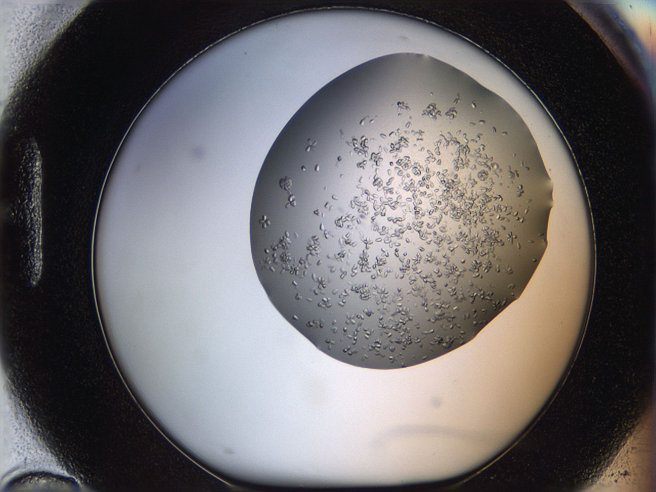0694_H10_ImagerDefaults_8.jpg