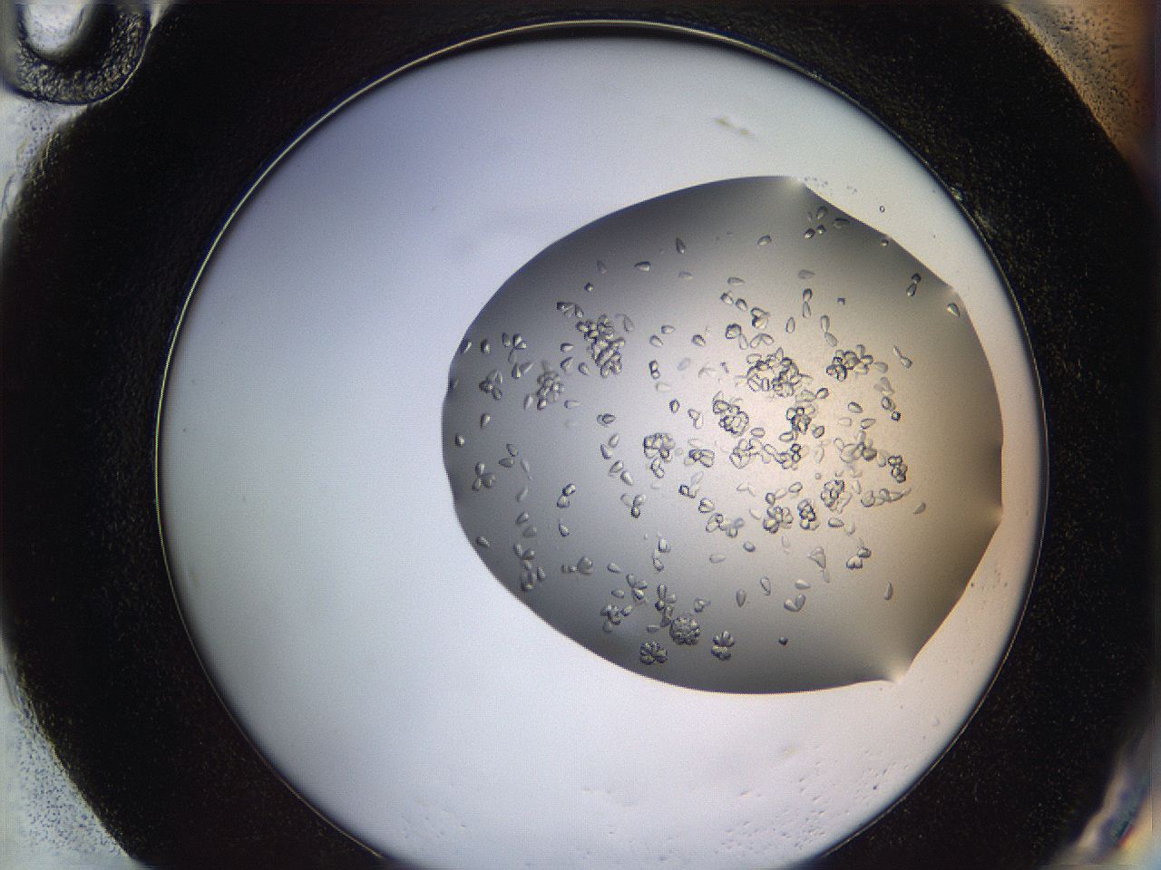 0694_H10_ImagerDefaults_6.jpg
