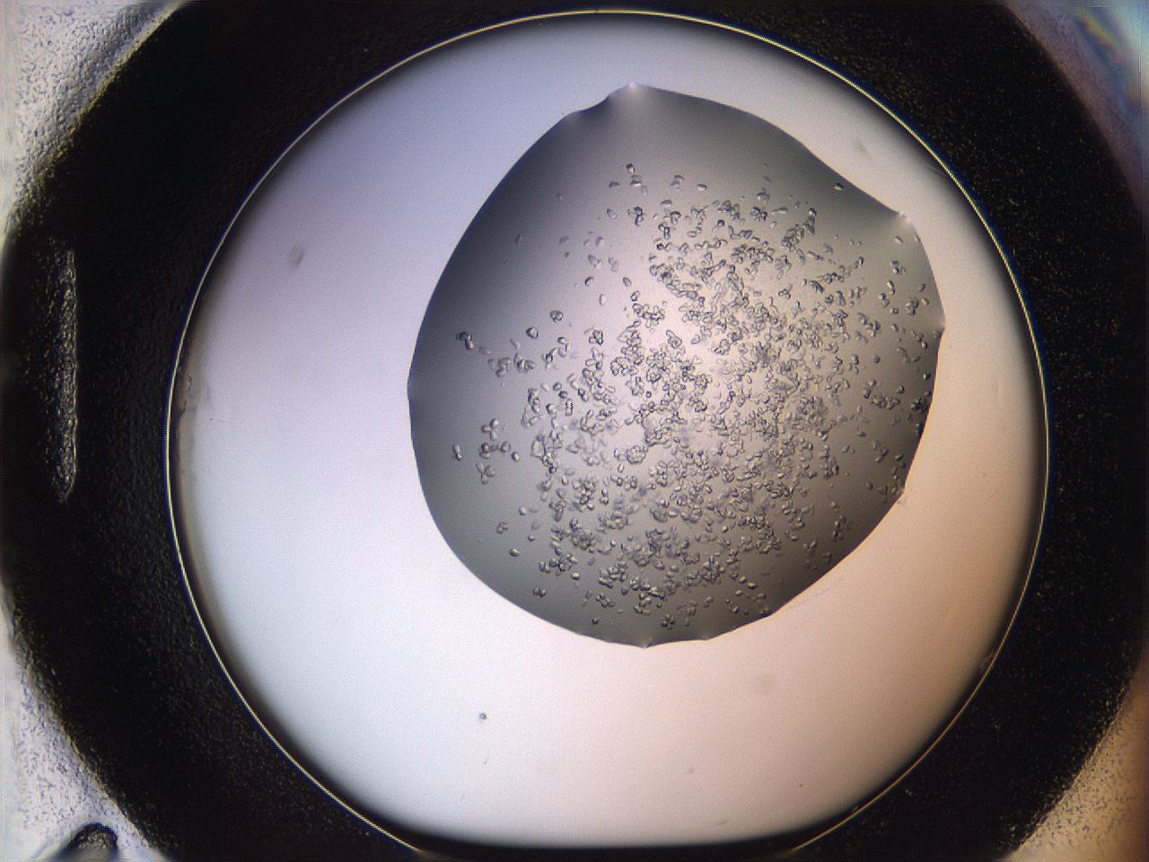 0694_H11_ImagerDefaults_8.jpg