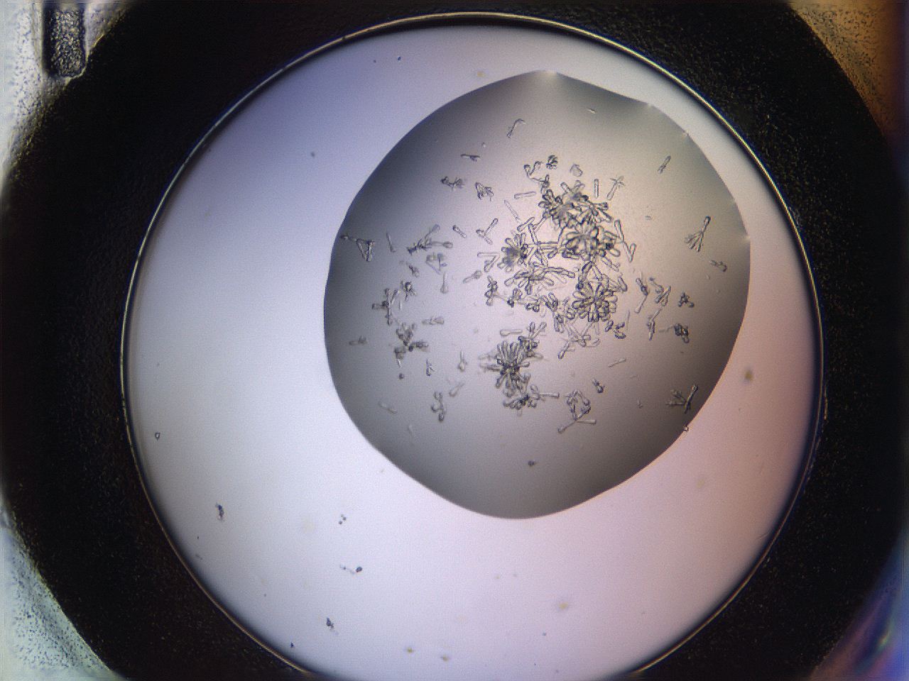 0694_H11_ImagerDefaults_7.jpg